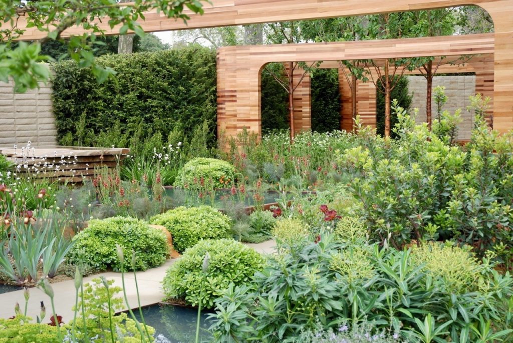 Showhage på Chelsea Flower Show Foto