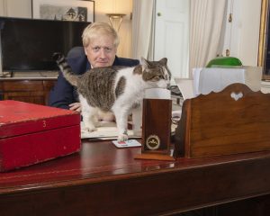 Katten Larry på Johnsons skrivebord. Foto